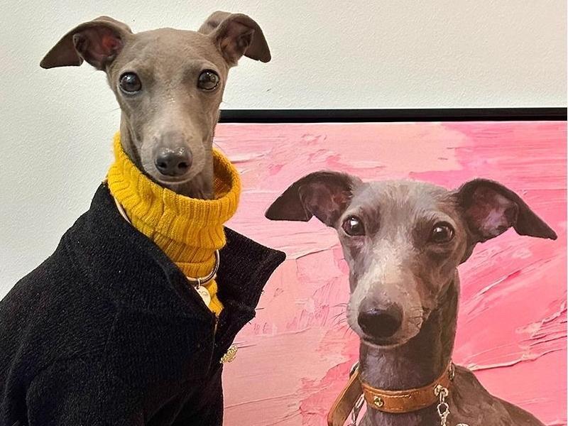 ipawtraits-Everything was done quickly and well, and l love how this photo truly captures mydog’s personality.